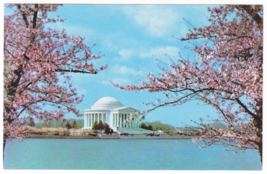 Vtg Postcard-The Jefferson Memorial-Washington D.C.-Cherry Blossoms-Chrome-DC1 - £1.57 GBP