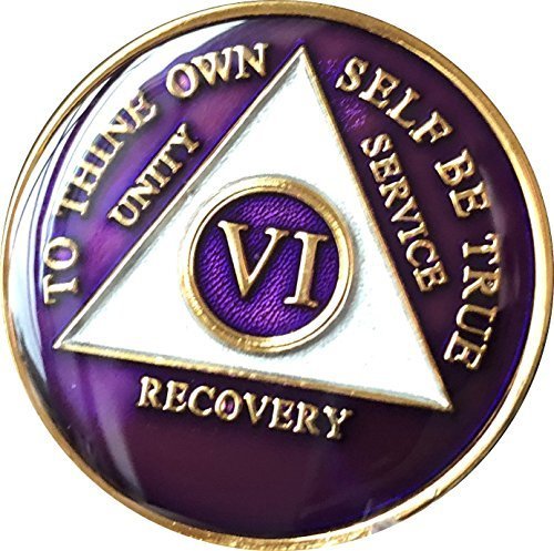 6 Year AA Medallion Metallic Purple Tri-Plate Gold Plated Chip VI