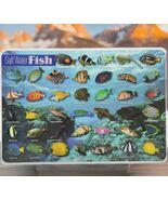 Painless Learning:  Saltwater Fish  Placemat - $181.63 MXN