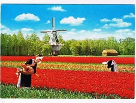 Holland Postcard Land of Flowers And Windmills - $2.96