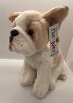 Plush Stuffed Animal French Bulldog 2015 Demdaco Nat &amp; Jules 9&quot; Toy Brown White - £22.05 GBP