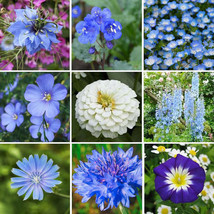 Grow In US 500 Seeds Wildflower Mix Blue Ribbon W/Perennials Pollinators Heirloo - £8.16 GBP