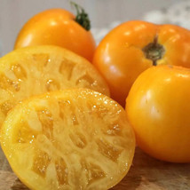 HSeeds 50 Seeds Lemon Boy Tomato Tomatoe Vegetable Garden Edible Food - £3.99 GBP