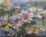 Water Lilies Blank Cards by Ellen Jean Diederich Givinity Press Meditati... - $8.24