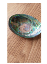 Abalone Shells ~ Polished - $22.22