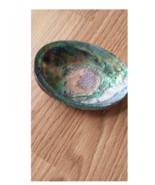Abalone Shells ~ Polished - £17.35 GBP