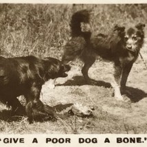 Dogs &quot;Give A Poor Dog A Bone&quot; Tobacco Card Real Photograph Vintage Original - £7.82 GBP