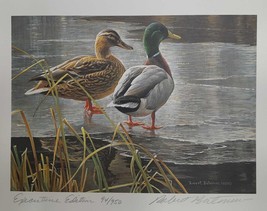 Mallard Pair -Early Winter 1985 First Wildlife Habitat Canada Duck Stamp Print b - £119.90 GBP