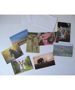 Blank Cards 8 Animals with White Envelopes from Charity Organization IFAW - £2.70 GBP