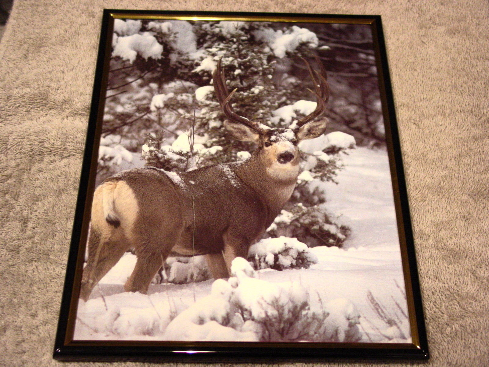 Primary image for DEER 8X10 FRAMED PICTURE PRINT