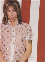 Aerosmith Steven Tyler 8 x 11 color pin-up photo print - £3.38 GBP