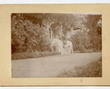 Girl on White Horse Photo on Board Hoods Ranch Los Guilicos California 1895 - $37.62