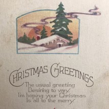 Christmas Greetings Vintage Postcard Winter Scene  Antique USA Snow Poinsettia - £7.86 GBP