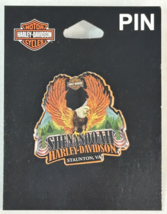 NEW Harley Davidson Dealer Dealership Pin Shenandoah Staunton VA (Virgin... - $375.39 MXN