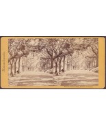 Boston, MA Photo Stereoview - Beacon Street Mall, Boston Common - $229.49 MXN