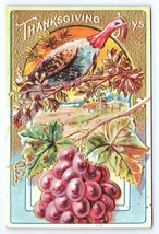 Postcard Thanksgiving Joys Turkey Grapes Embossed Gold Trim Series No. 7 - $4.75