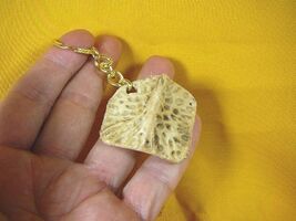 (g125-3) GATOR scute bone Aligator ALLIGATOR keychain skute key gators w... - €11,92 EUR