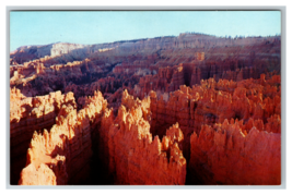 Bryce Canyon National Park, Utah Scene From Sunset Point Postcard Unposted - £3.94 GBP