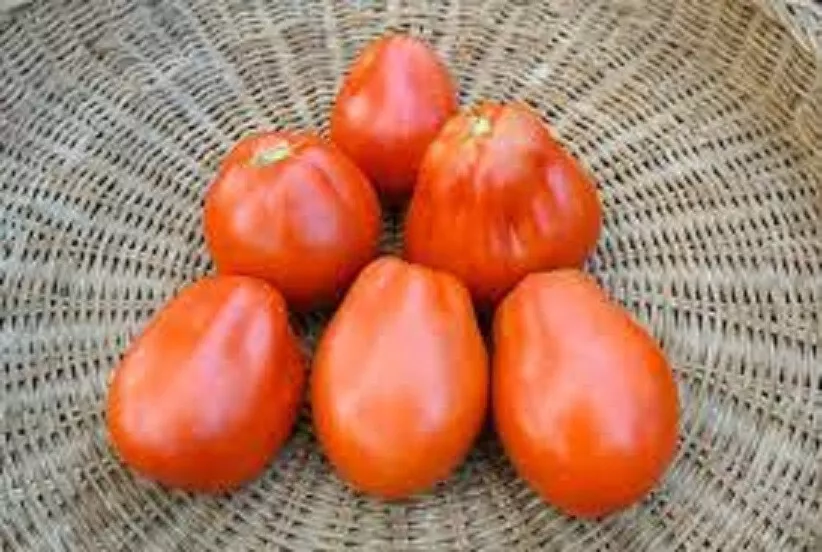 50 Seeds Piriform Tomato Vegetable Garden - £7.79 GBP