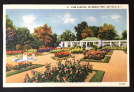 Post Card 1930s The Rose Garden Delaware Park Buffalo Ny Linen - £4.02 GBP