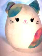 Risa the Cat Squishmallow Plush Kellytoys EUC with Tag - £15.62 GBP