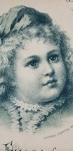 Victorian Trade Card CUTE GIRL CHILD Horsford&#39;s Acid Phosphate 1884  - £7.07 GBP