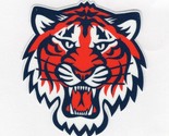 Detroit Tigers Car Truck Laptop Decal Window Var sizes Free Tracking - £2.38 GBP+