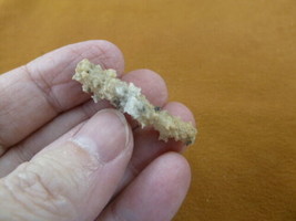 (r365-30) 1-1/2&quot; Fulgurite lightning strike beach sand glass Georgia fulgurites - £11.95 GBP