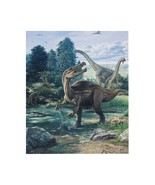 Dinosaur Thick decorative Flannel  fleece throw blanket Dino  blankets 5... - $22.99+