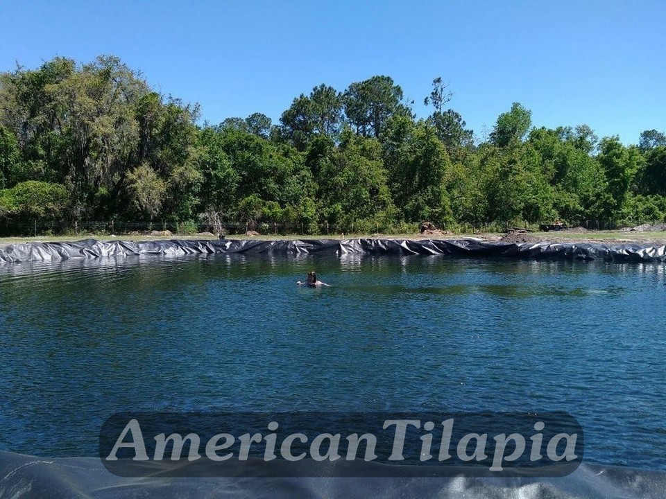18x30 Pond Liner Strong & Durable Fish Pond Liner for Outdoor Ponds, Aquaculture Item image 13