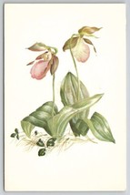Pink Lady Slipper Flower By Kathleen Cassel 1965 To Mifflinburg PA Postcard L21 - £4.67 GBP