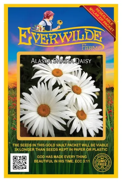 2000 Alaska Shasta Daisy Wildflower Seeds Farms Mylar Seed Packet Fresh Garden - £6.25 GBP