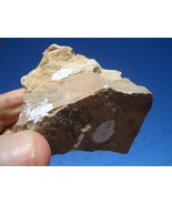 CARNOTITE  URANIUM ROCK  6.5 OZ. 23,000 CPM JURASSIC CANYON  $22.00 +$9.50 s/h - $22.00