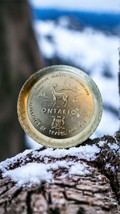 Ontario Canada Coaster Department of Travel and Publicity Embossed Alumi... - $174.84 MXN