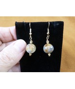 DP1-20s REAL DINOSAUR POOP 12mm bead dangle EARRINGS Utah ancient Dino C... - $18.99