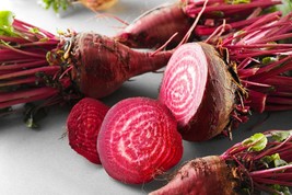 Bulls Blood Beet -100 SEEDS- Robust Flavor -Great for Canning- Tops - Gr... - £3.18 GBP