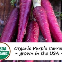 150 Organic Cosmic Purple Carrot Vegetable Seeds Fresh Seeds From US - £10.45 GBP