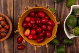 Organic Cornelian Cherry Seeds Heirloom NON GMO | 40 seeds  - $12.56