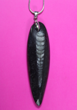 Authentic Orthoceros Necklace Fossil 500 Million Years Old Dinosaur Girl... - $41.13 CAD