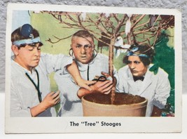 1959 Three Stooges Fleer Trading Card Nice #26 The &quot;Tree&quot; Stooges - $9.85