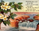 Syringa Idaho State Flower Postcard PC14 - £4.00 GBP