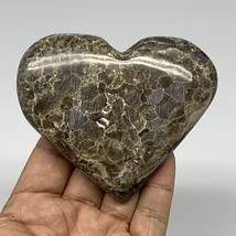 191.3g,3&quot;x3.6&quot;x0.9&quot; Natural Chocolate Gray Onyx Heart Polished @Morocco,B18778 - £10.10 GBP