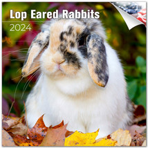 Lop-Eared Rabbits Wall Calendar 2024 SUPER CUTE Animal Farm Pet Kids Gift - $24.74