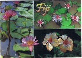 Fiji South Pacific Shiny Postcard Flowers of Fiji - £1.73 GBP