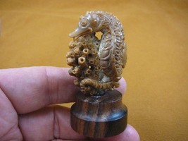 (tb-seah-1) little tan Seahorse Tagua NUT palm figurine Bali carving sea... - $49.08