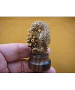 (tb-seah-1) little tan Seahorse Tagua NUT palm figurine Bali carving sea... - £38.60 GBP