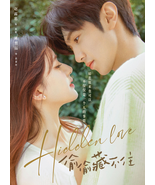 DVD Chinese TV Drama Hidden Love 偷偷藏不住 - Epi 1-25 End - English Subtitles - $39.99