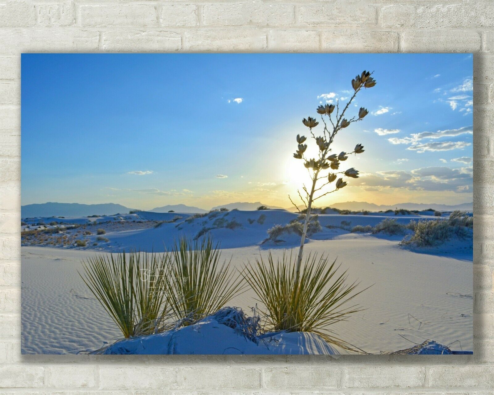 White Sands, New Mexico Landscape, Sunset, Fine Art Photo - Metal, Canva... - $31.50+