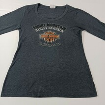 Harley Davidson Shirt Women’s Large Gray Long Sleeve Smoky Mountain Tennessee image 6