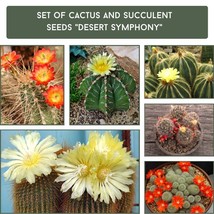 Grow Your Own Oasis with &quot;Desert Symphony&quot; - Cactus and Succulent Seed Collectio - £21.58 GBP